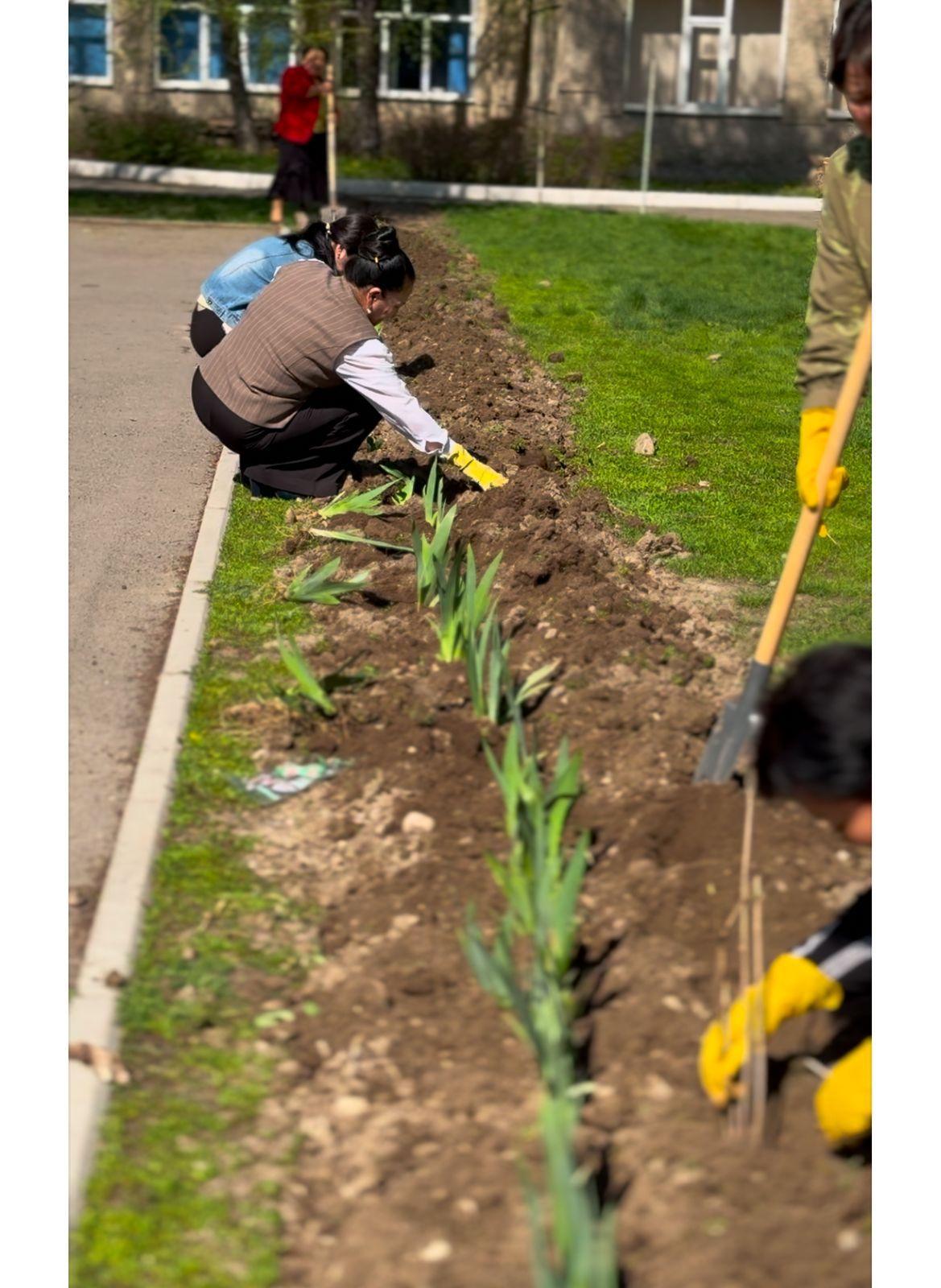 В КГУ ОШ №142 продолжается акция по посадке деревьев.