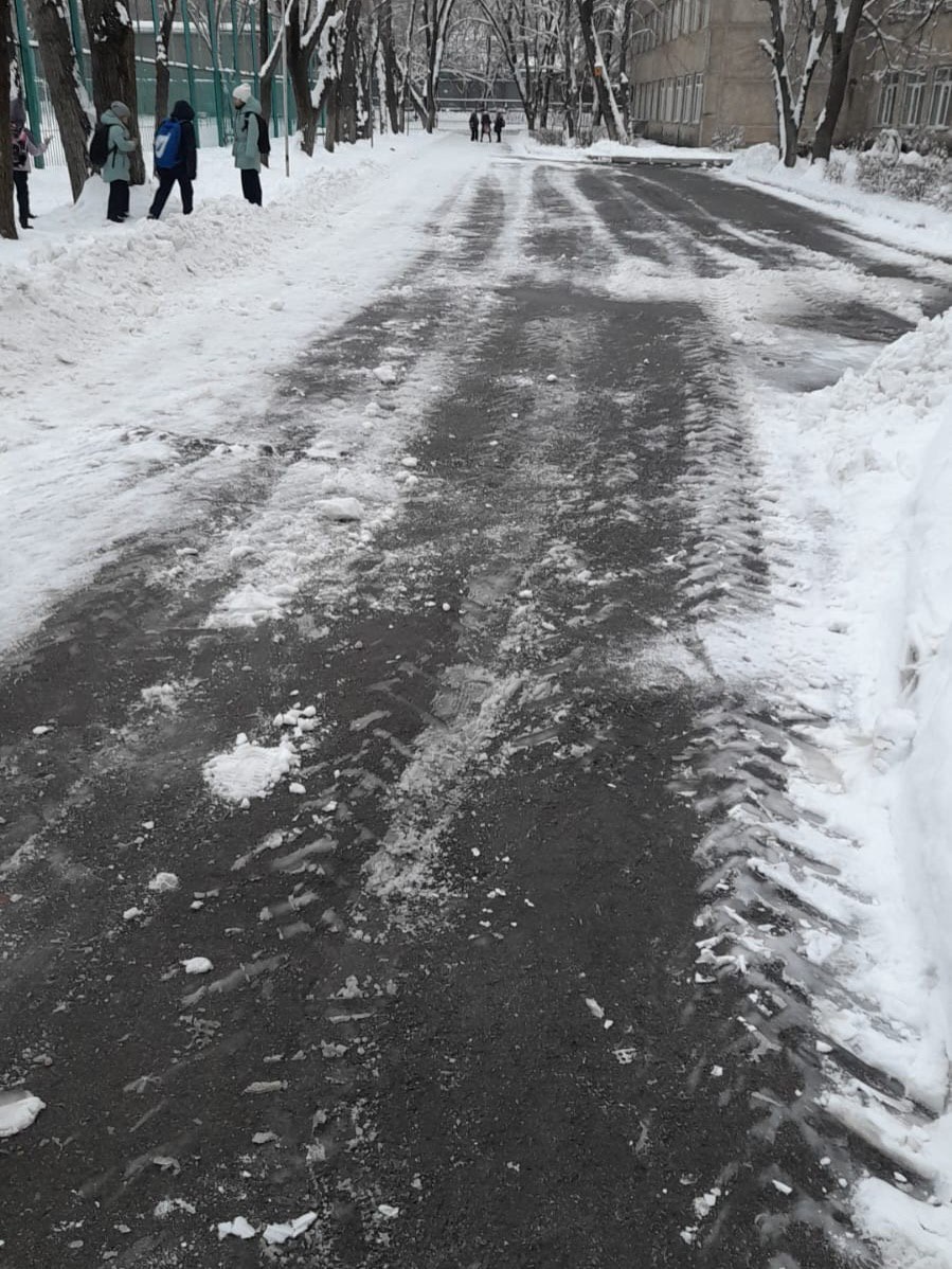 Мектеп аумағы тазартылды / Территория школы приведена в порядок