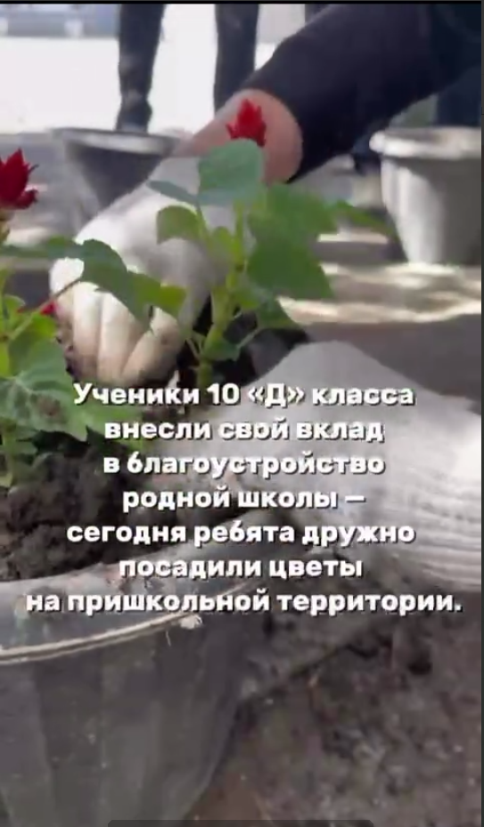 «1000 гүл» акциясы / Акция «1000 цветов»